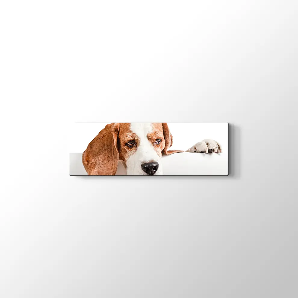 Sevimli Tazı Köpeği Kanvas Tablo