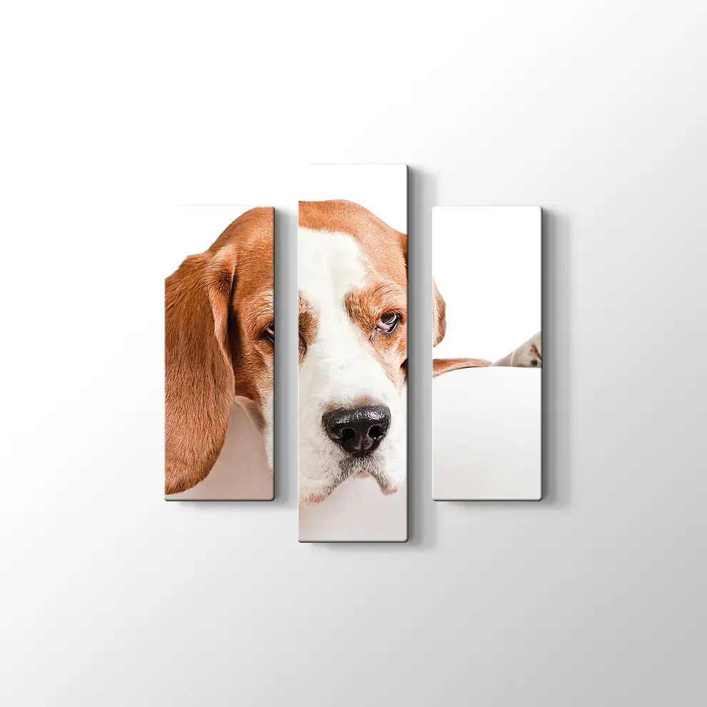 Sevimli Tazı Köpeği Kanvas Tablo