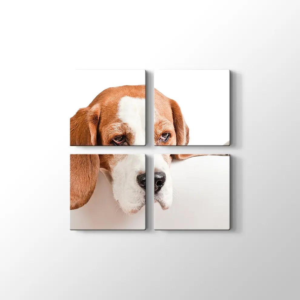 Sevimli Tazı Köpeği Kanvas Tablo