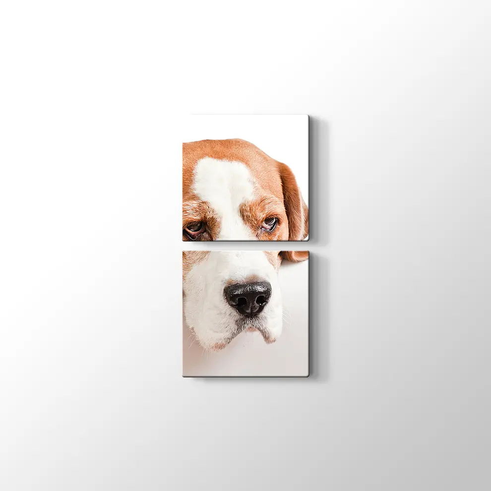 Sevimli Tazı Köpeği Kanvas Tablo