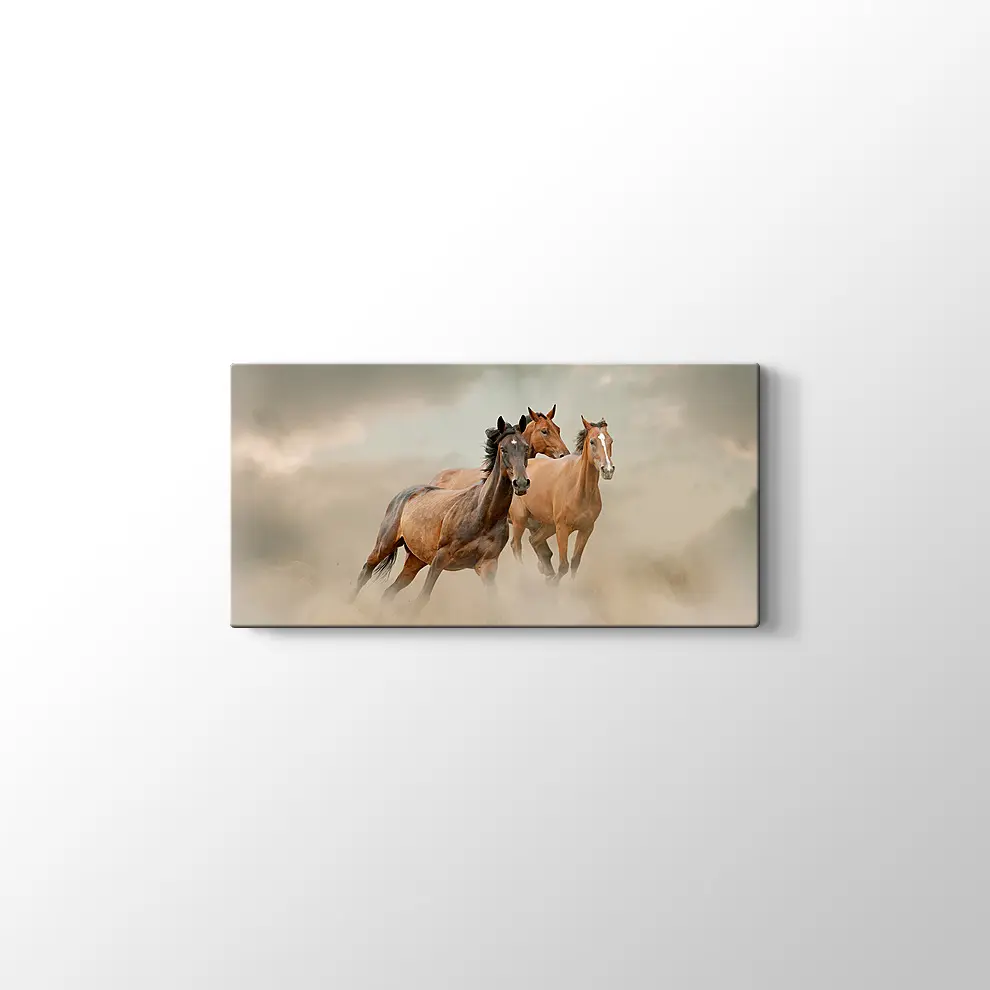 Toz İçinde At Sürüsü