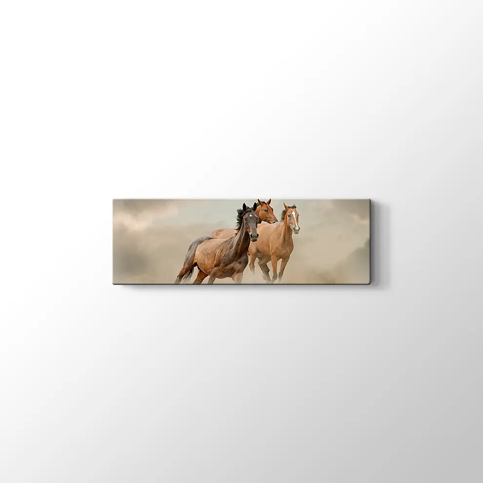 Toz İçinde At Sürüsü