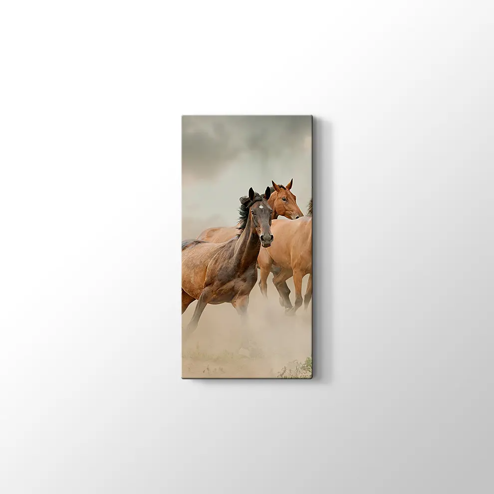 Toz İçinde At Sürüsü