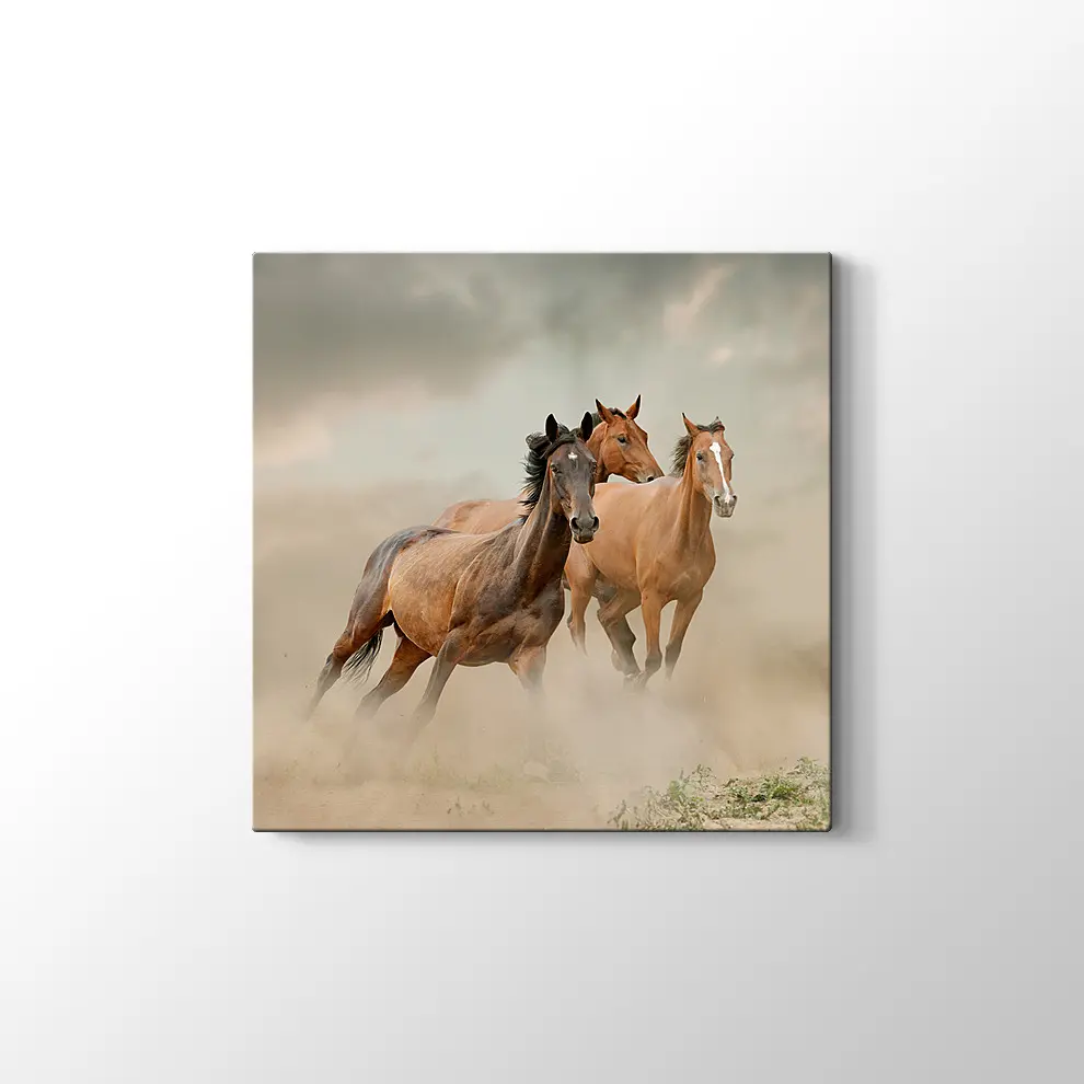 Toz İçinde At Sürüsü