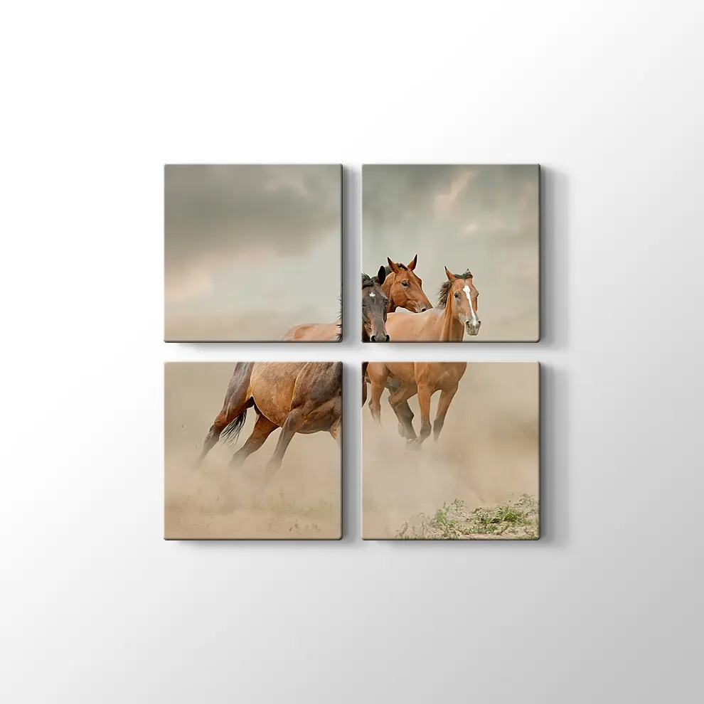 Toz İçinde At Sürüsü