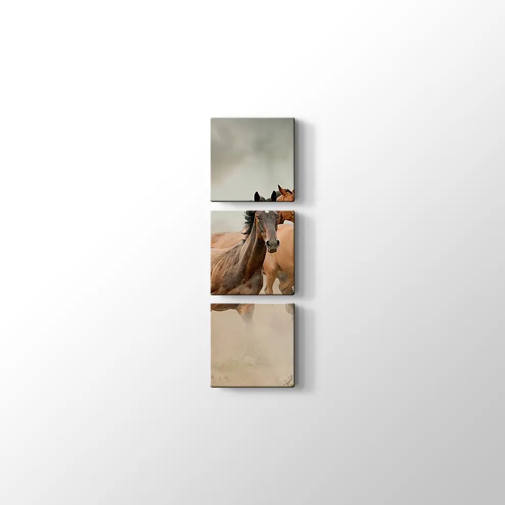 Toz İçinde At Sürüsü