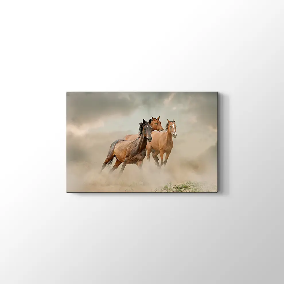 Toz İçinde At Sürüsü