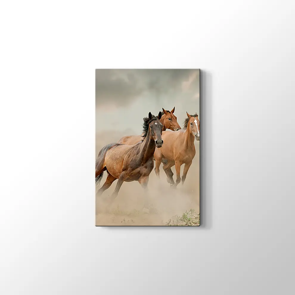 Toz İçinde At Sürüsü