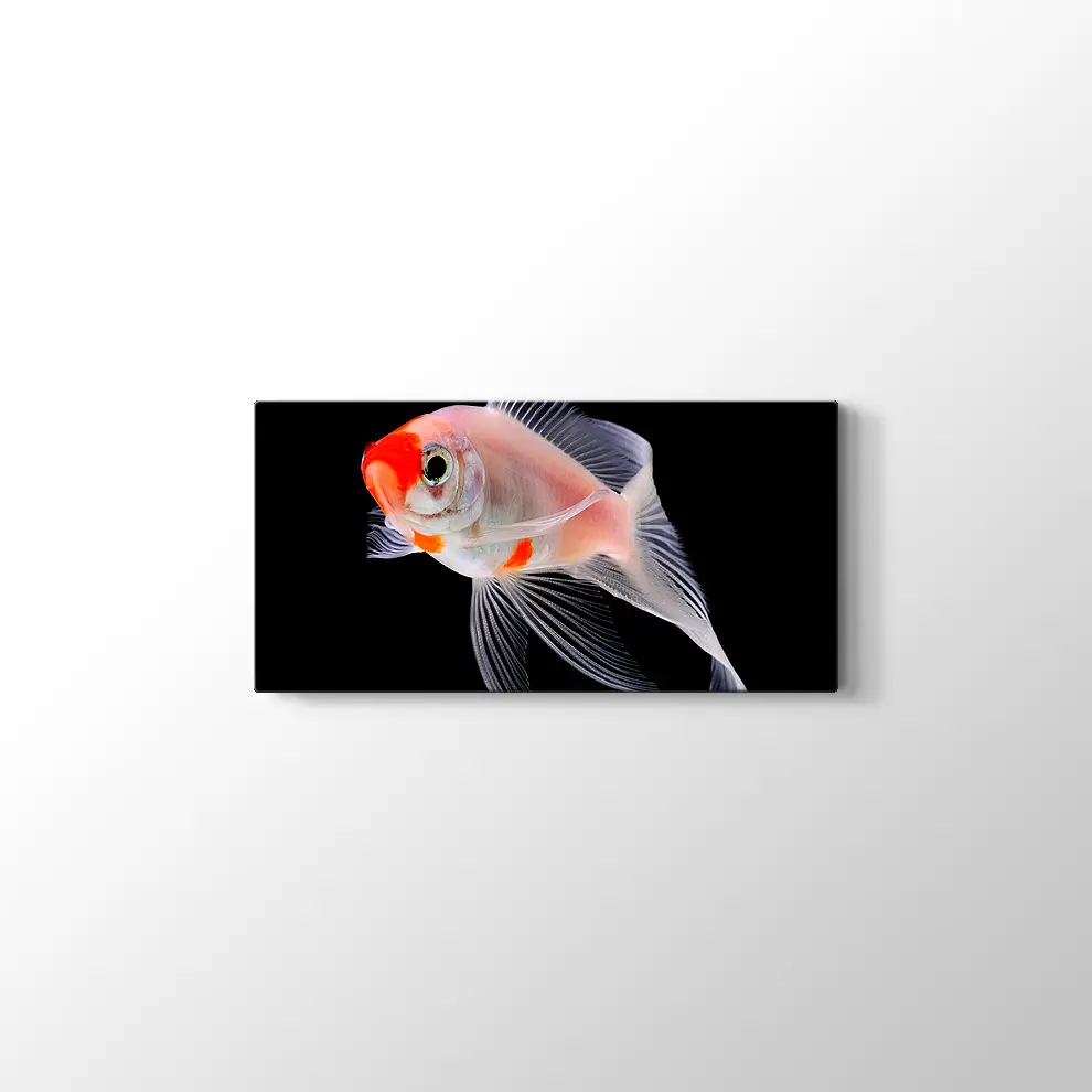 Altın Balık Kanvas Tablo