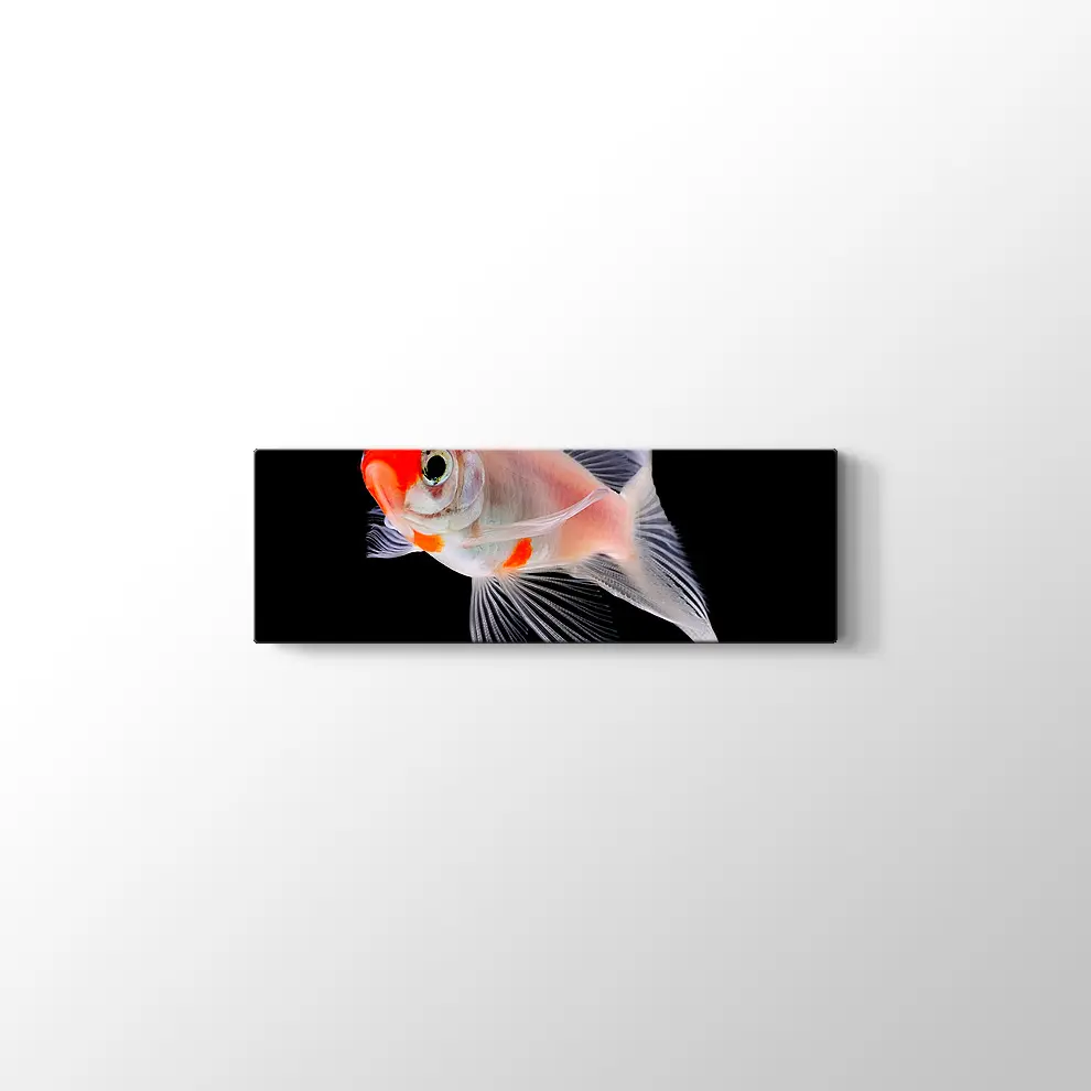 Altın Balık Kanvas Tablo