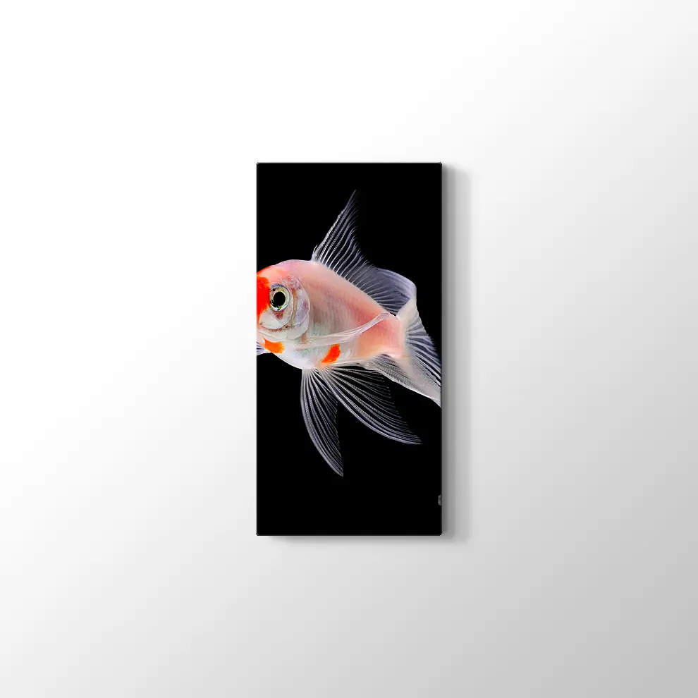 Altın Balık Kanvas Tablo