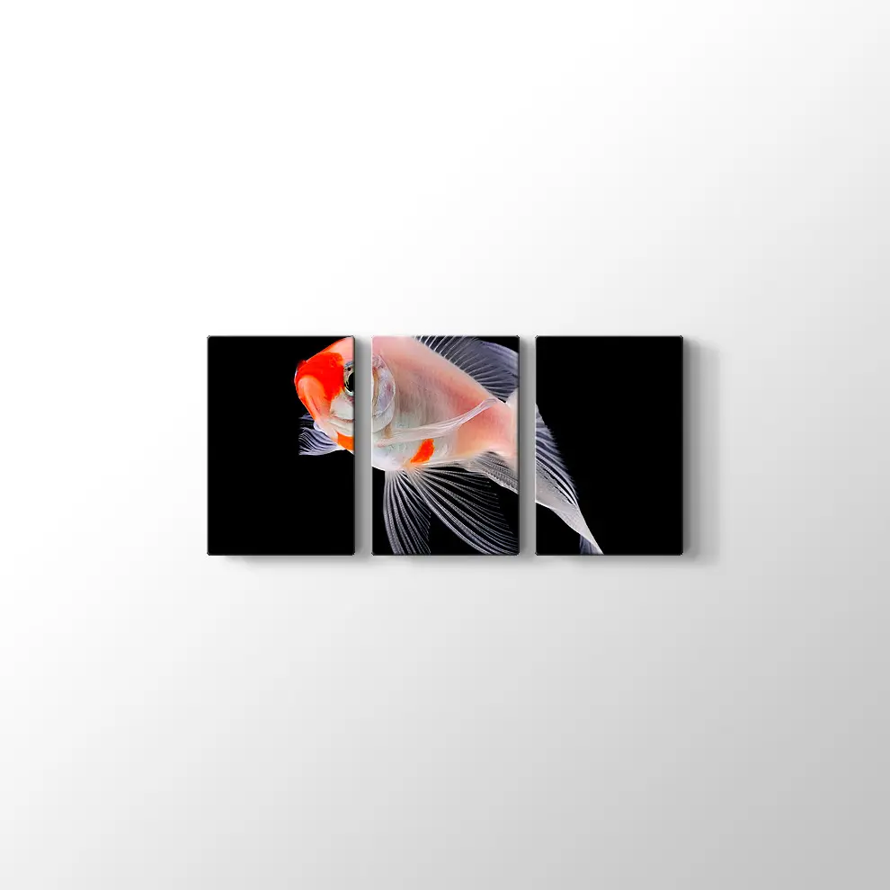 Altın Balık Kanvas Tablo