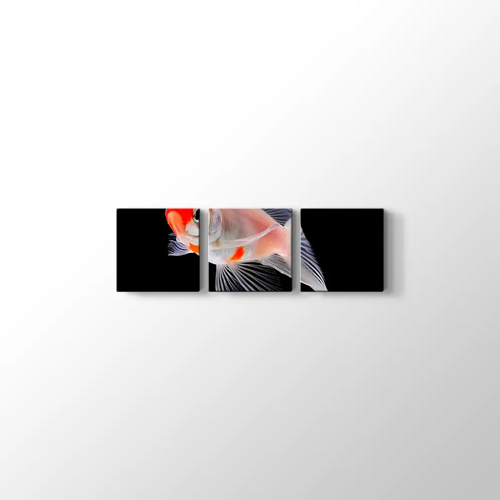 Altın Balık Kanvas Tablo