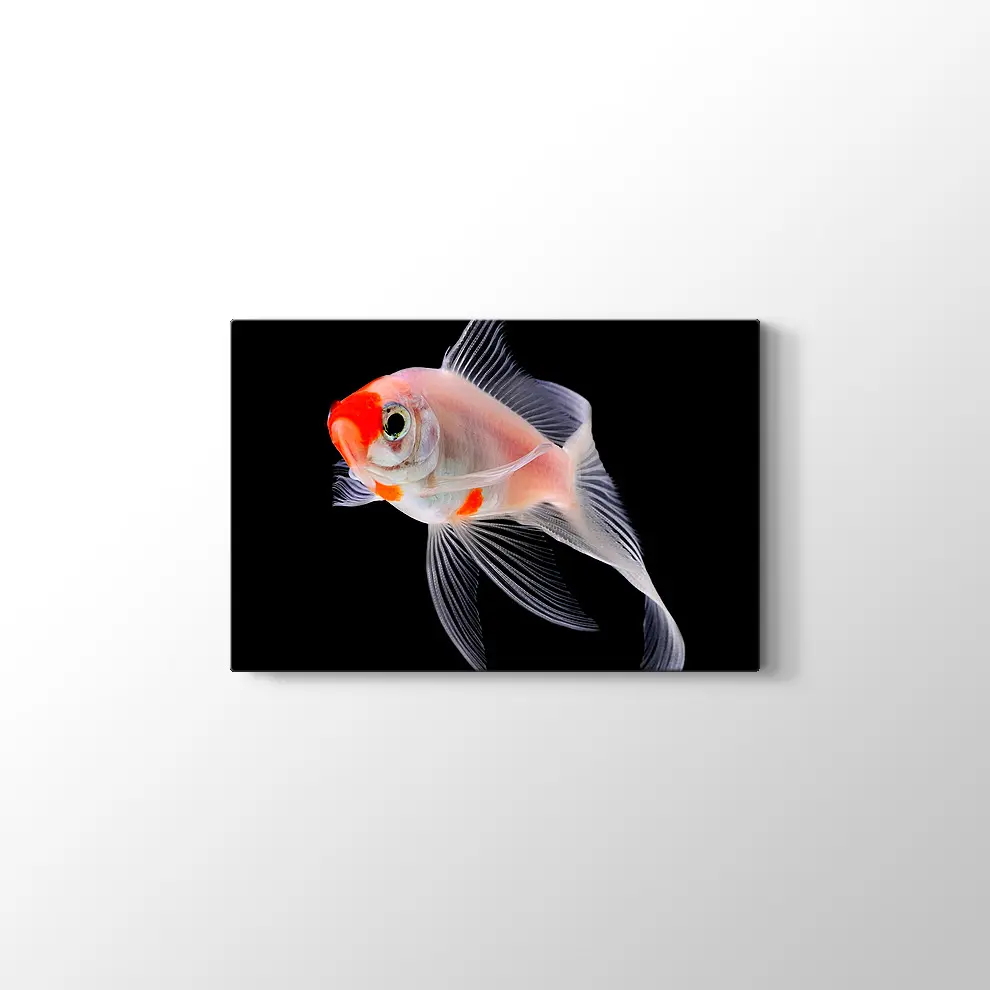 Altın Balık Kanvas Tablo