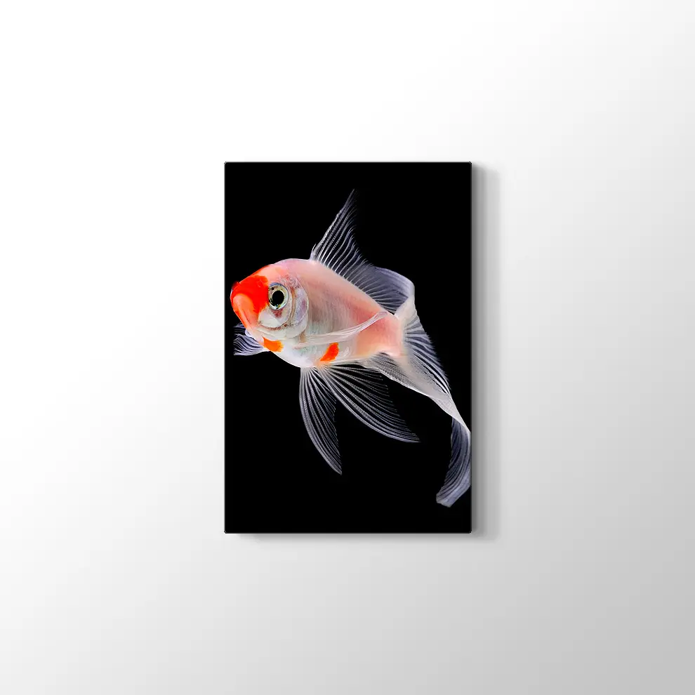 Altın Balık Kanvas Tablo