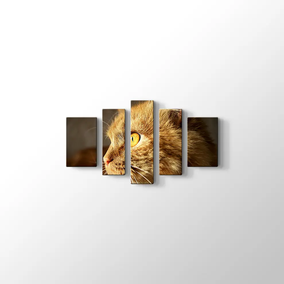 Turuncu Gözlü Kedi Kanvas Tablo