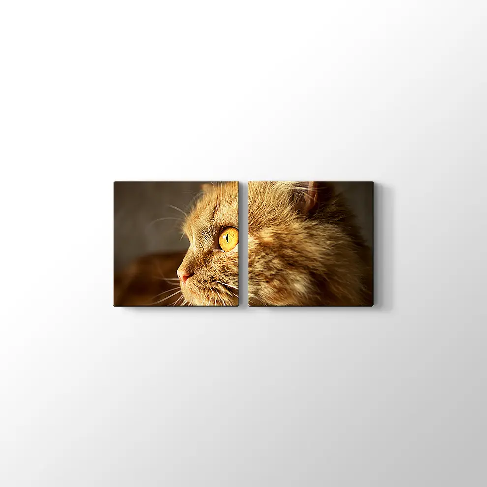 Turuncu Gözlü Kedi Kanvas Tablo