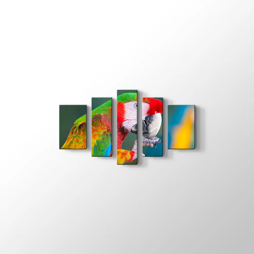 Papağan Kanvas Tablo