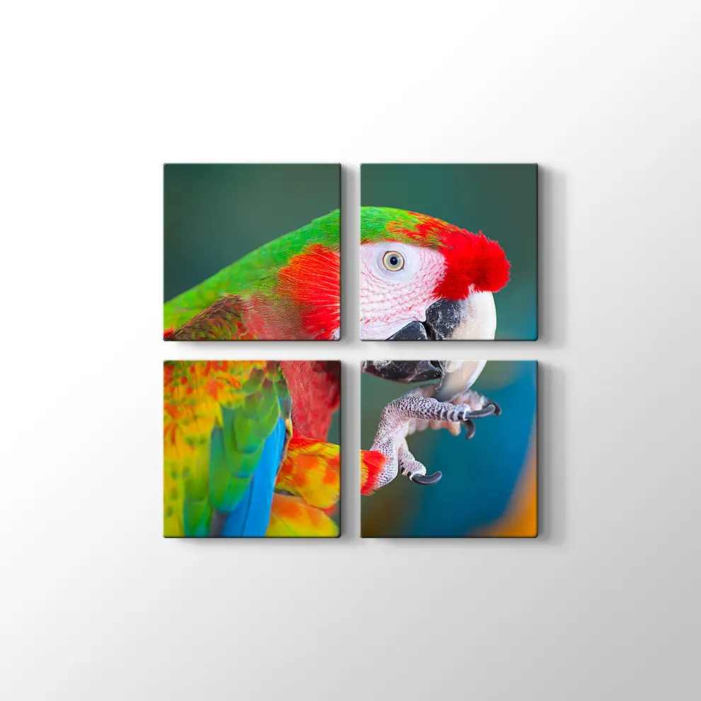 Papağan Kanvas Tablo