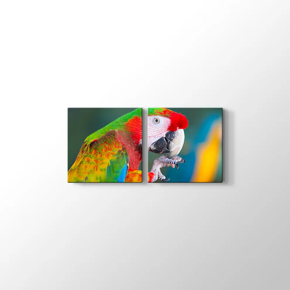 Papağan Kanvas Tablo