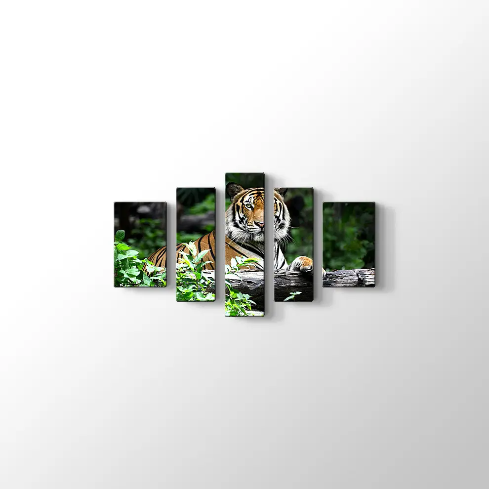 Asil Kaplan Kanvas Tablo