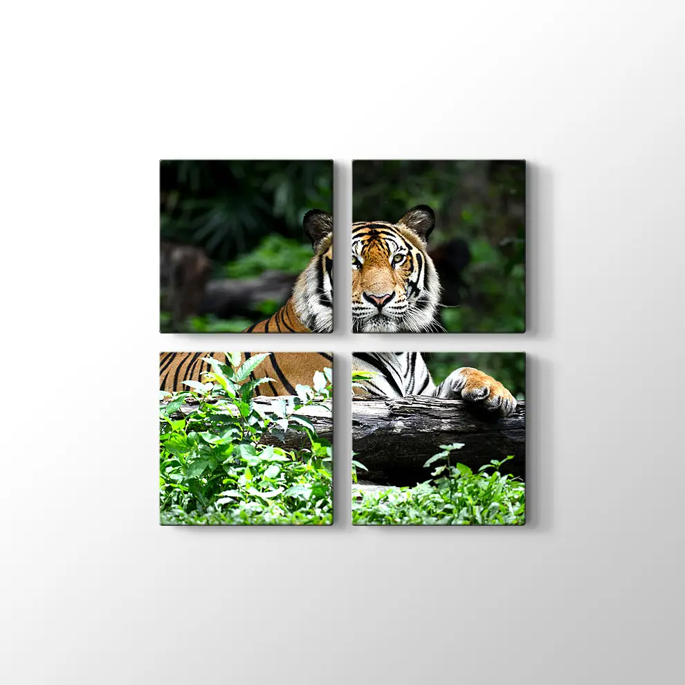 Asil Kaplan Kanvas Tablo