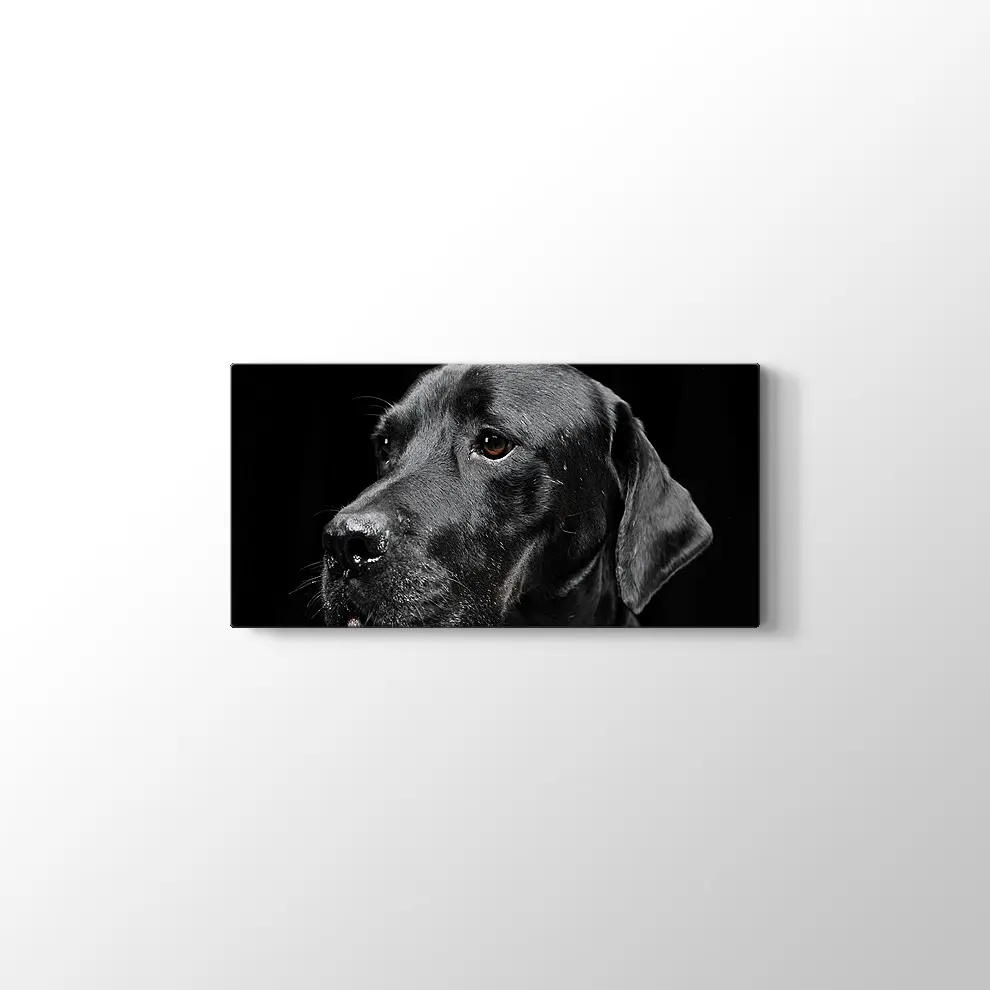 Siyah Köpek Kanvas Tablo
