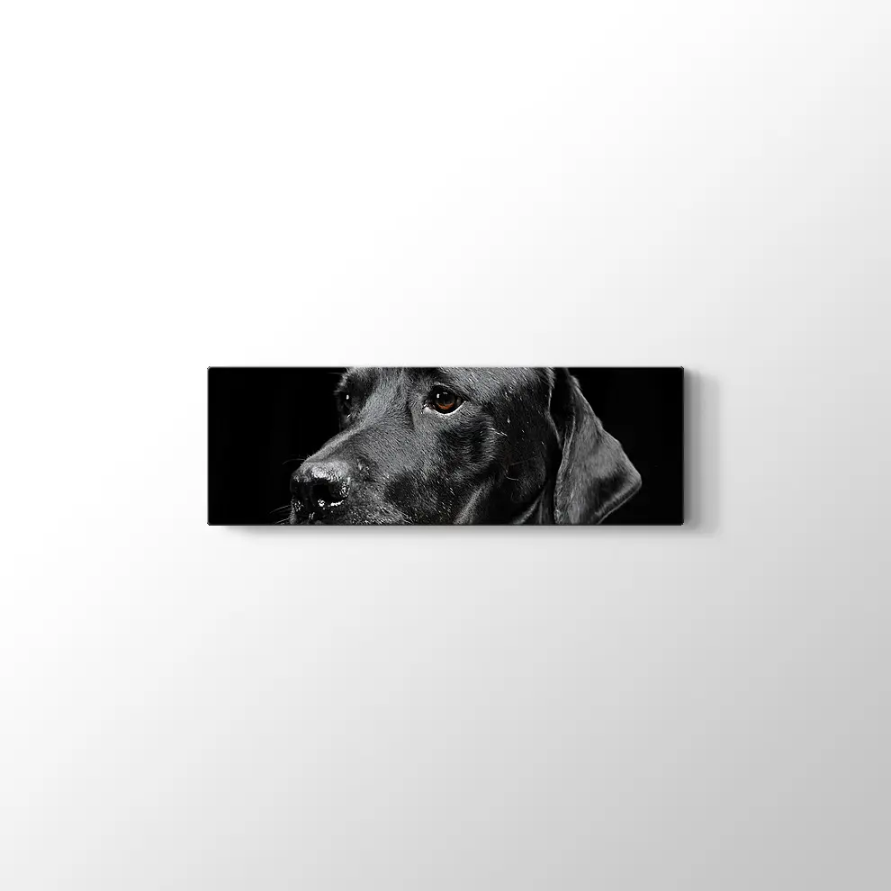 Siyah Köpek Kanvas Tablo