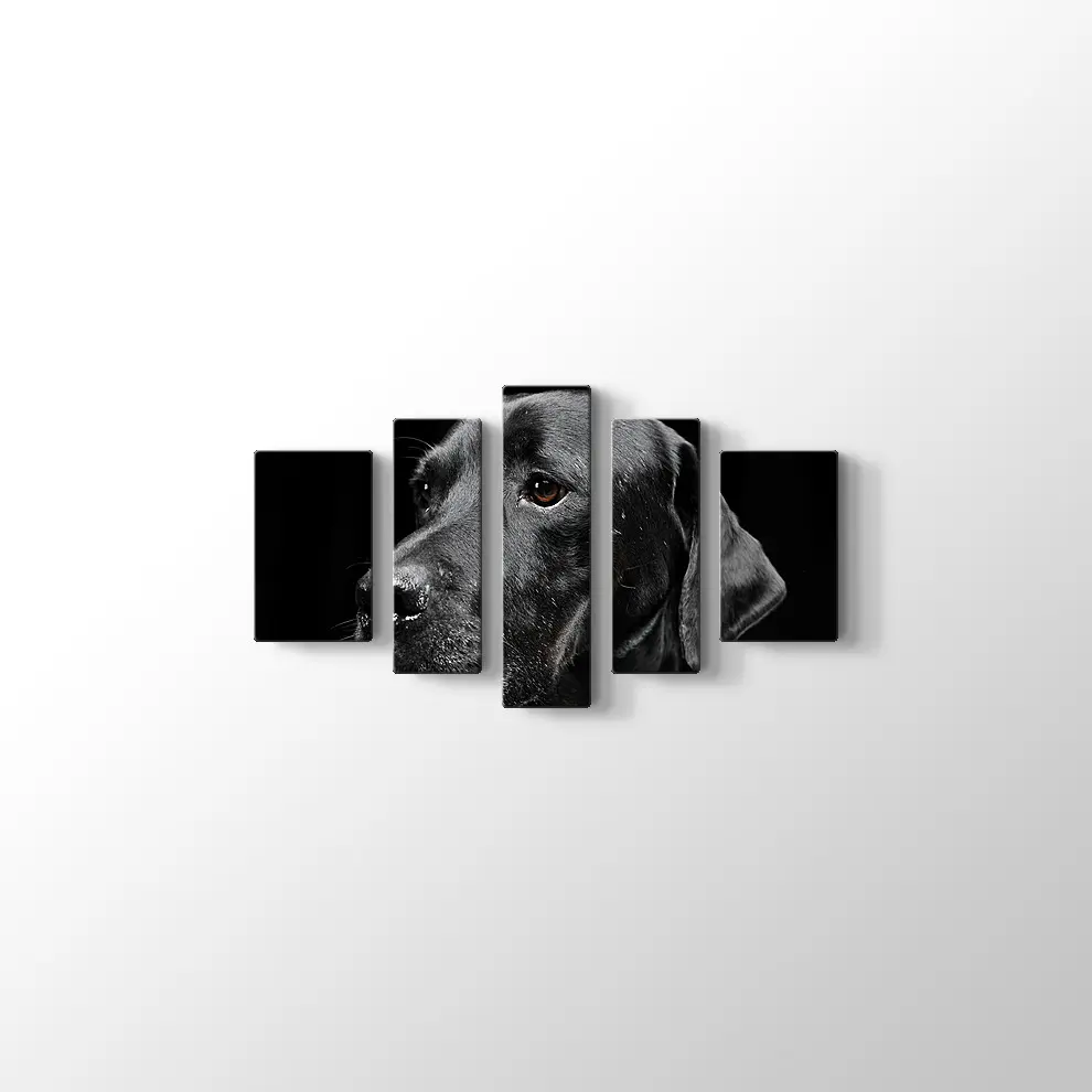 Siyah Köpek Kanvas Tablo