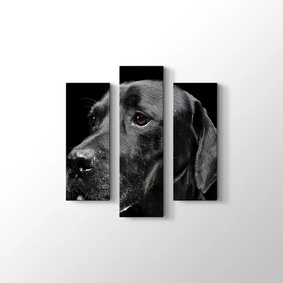 Siyah Köpek Kanvas Tablo