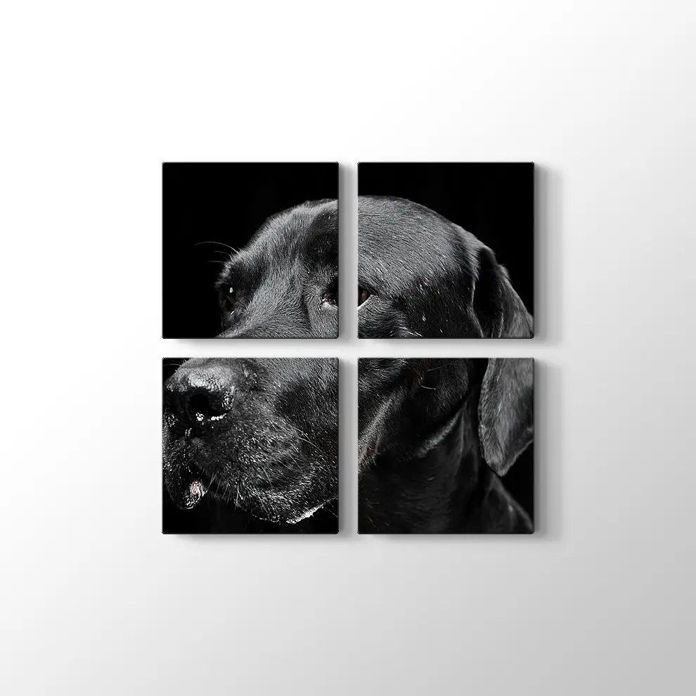 Siyah Köpek Kanvas Tablo
