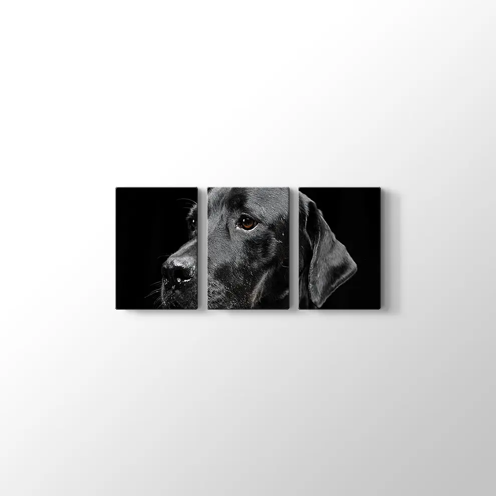 Siyah Köpek Kanvas Tablo