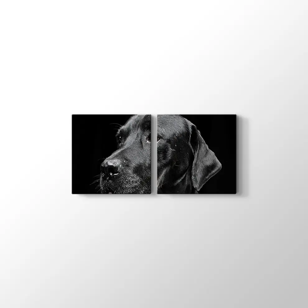 Siyah Köpek Kanvas Tablo