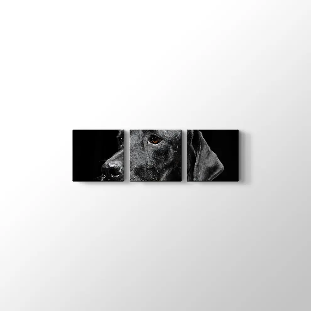 Siyah Köpek Kanvas Tablo