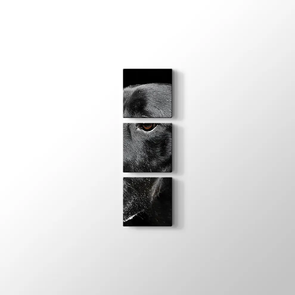 Siyah Köpek Kanvas Tablo