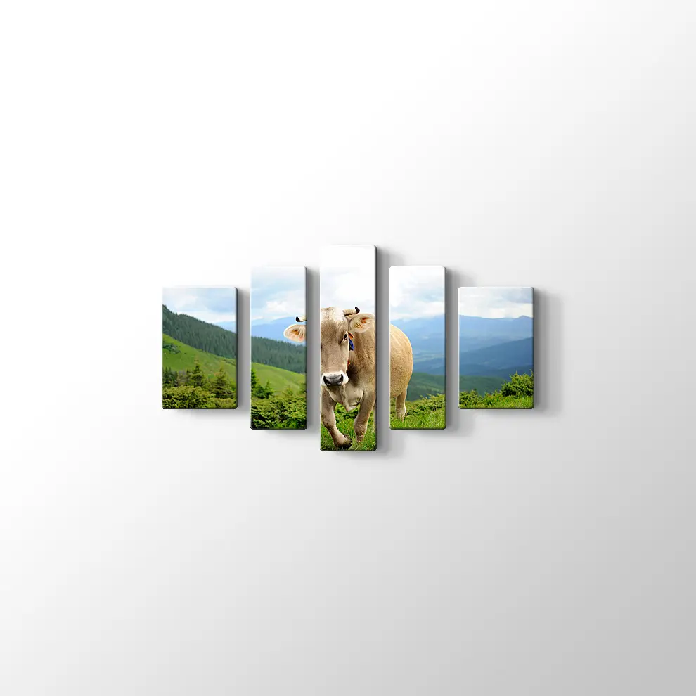 Çayırda İnek Fotoğrafı