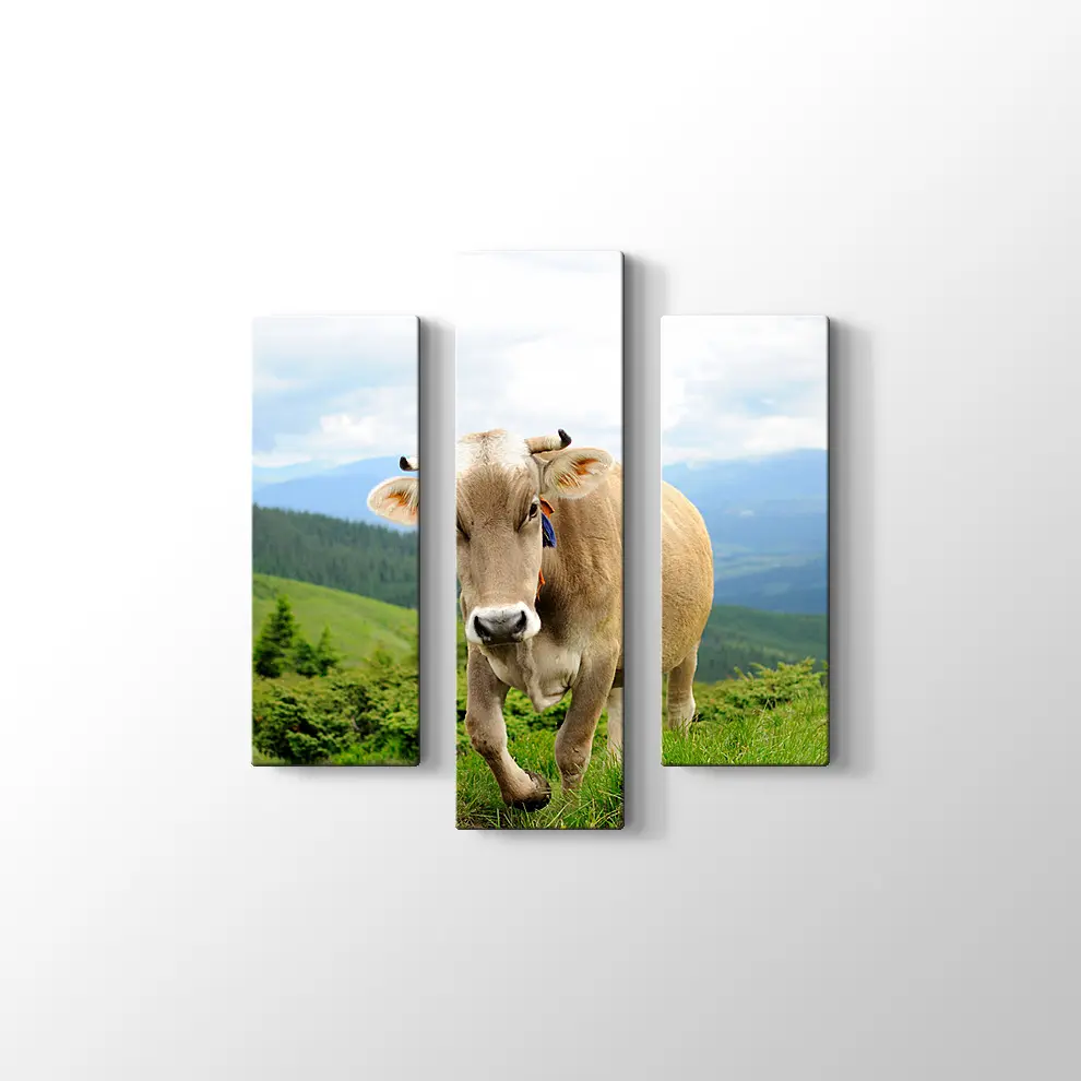 Çayırda İnek Fotoğrafı