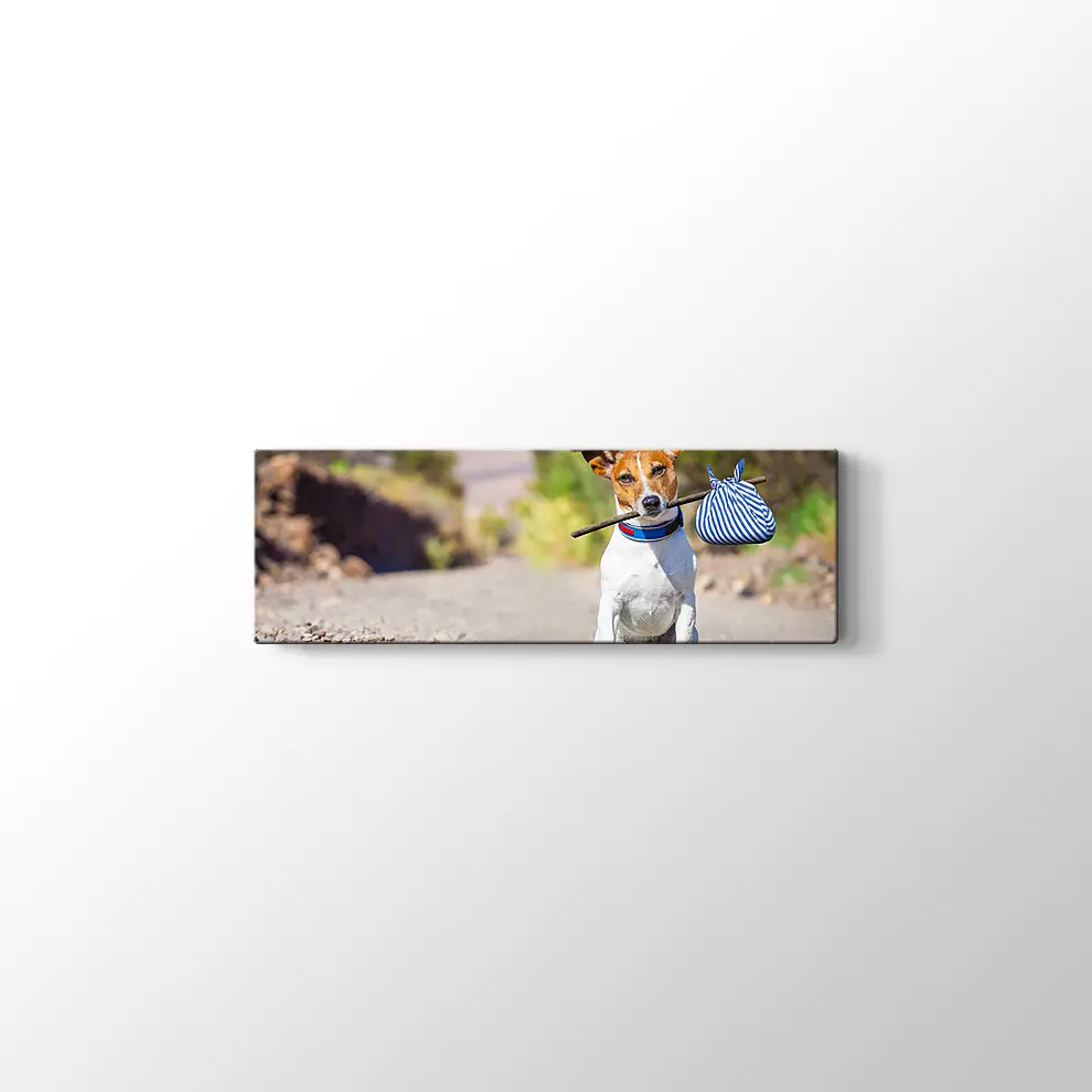 Terk Edilmiş Köpek Kanvas Tablo