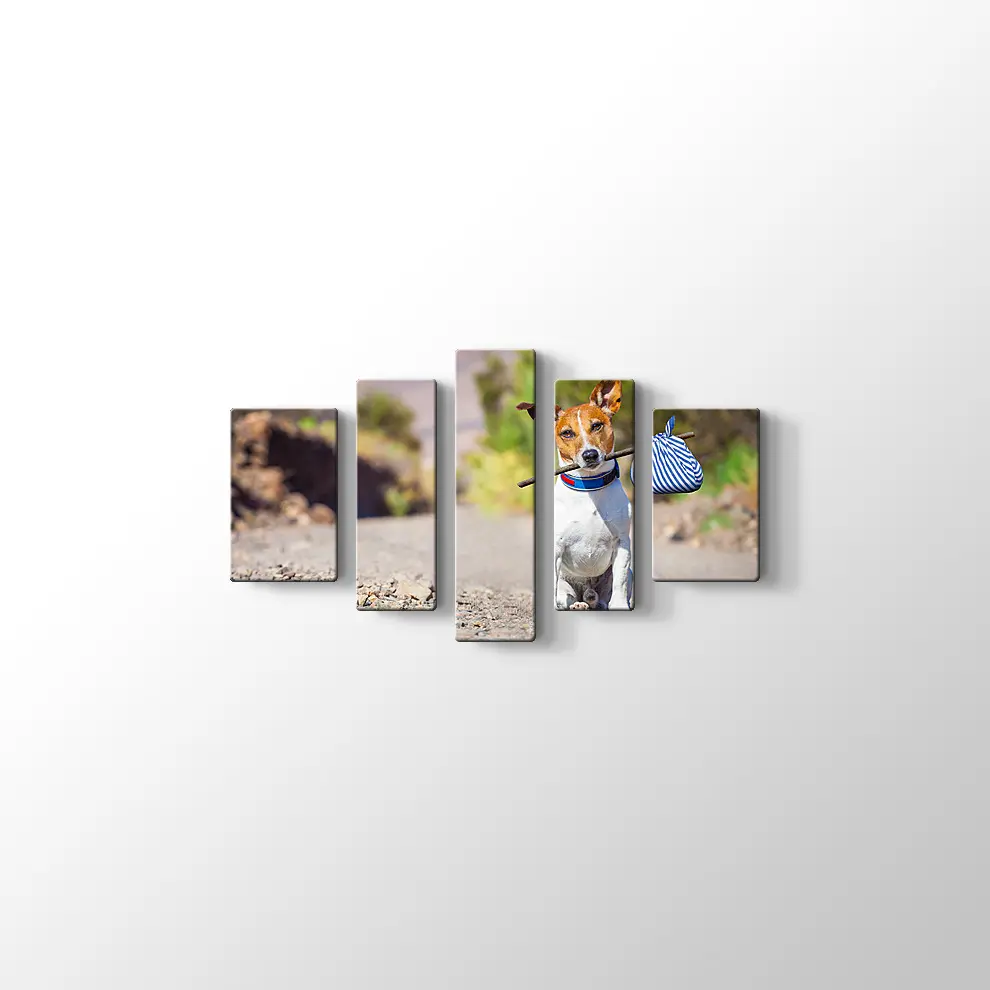 Terk Edilmiş Köpek Kanvas Tablo