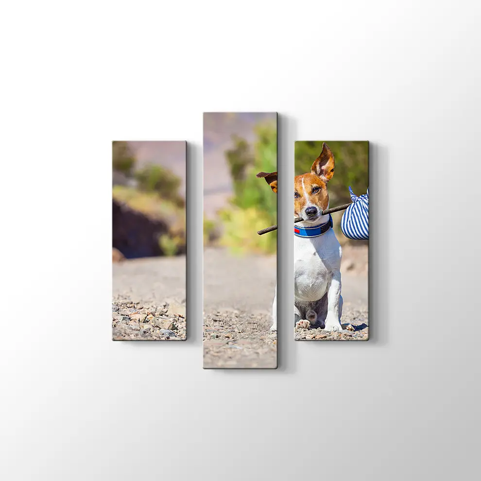 Terk Edilmiş Köpek Kanvas Tablo