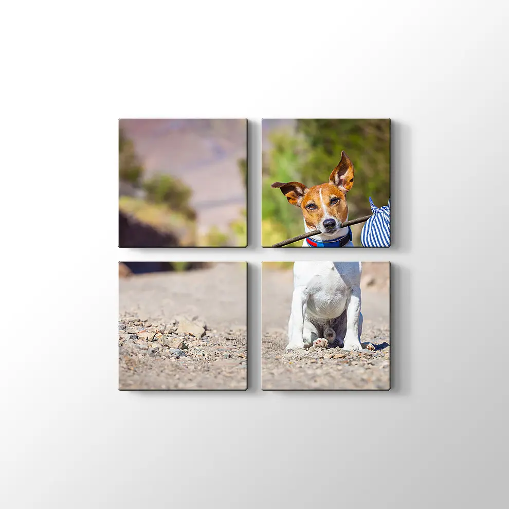 Terk Edilmiş Köpek Kanvas Tablo