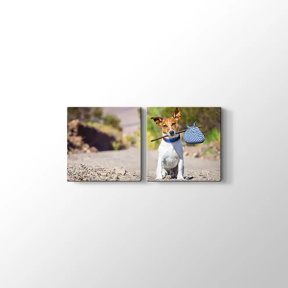 Terk Edilmiş Köpek Kanvas Tablo