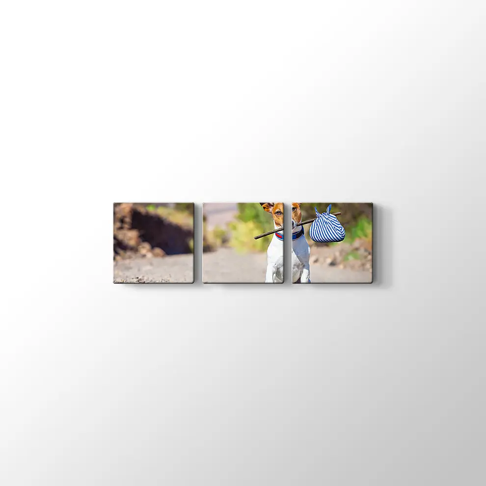 Terk Edilmiş Köpek Kanvas Tablo