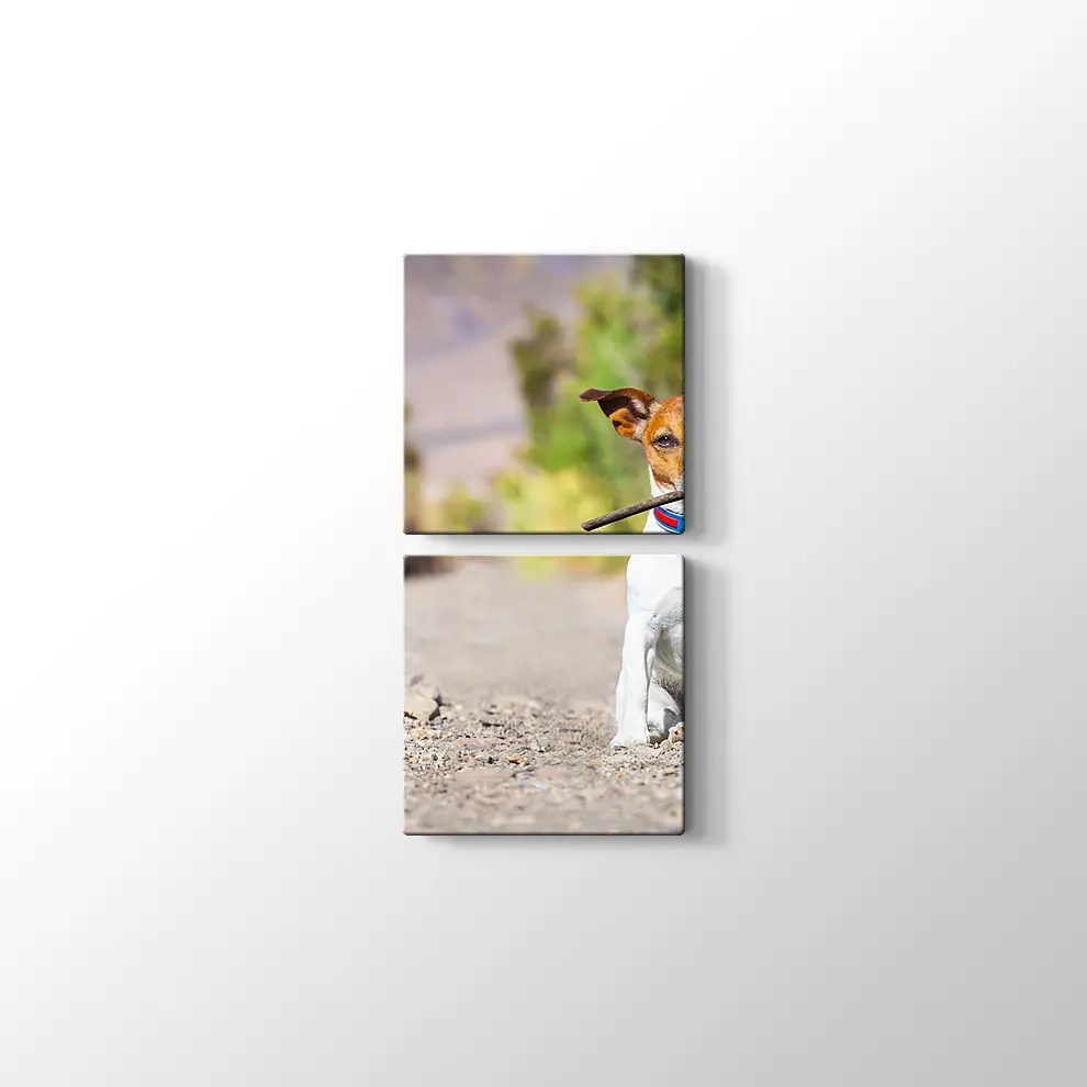 Terk Edilmiş Köpek Kanvas Tablo