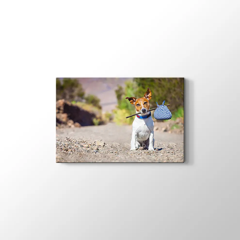 Terk Edilmiş Köpek Kanvas Tablo