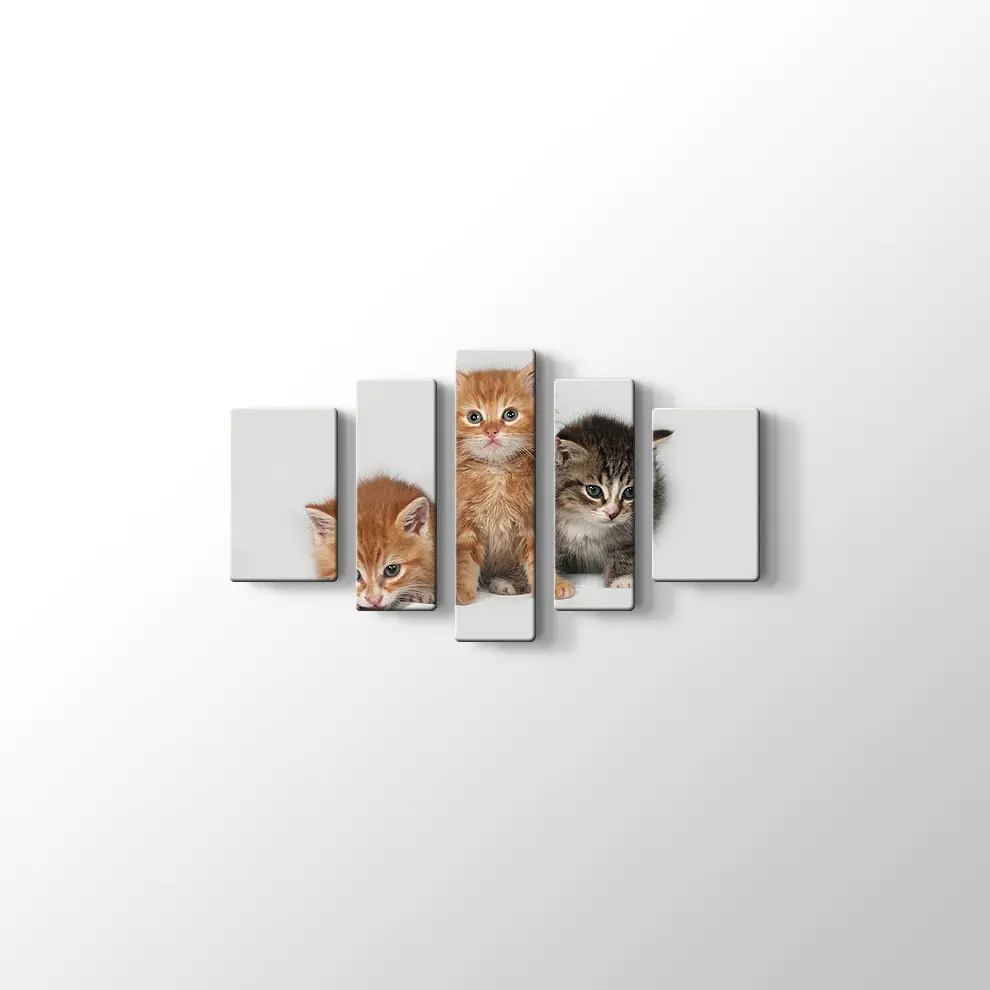 Kedi Yavruları Kanvas Tablo