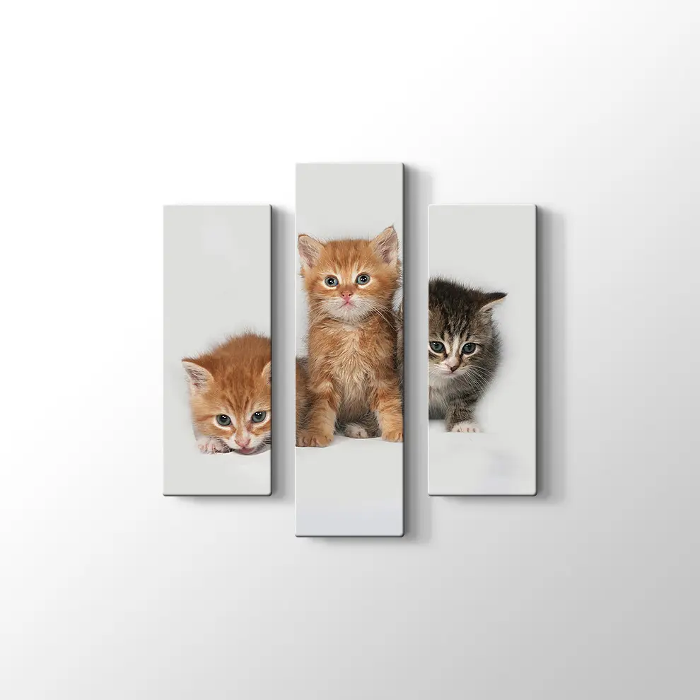 Kedi Yavruları Kanvas Tablo