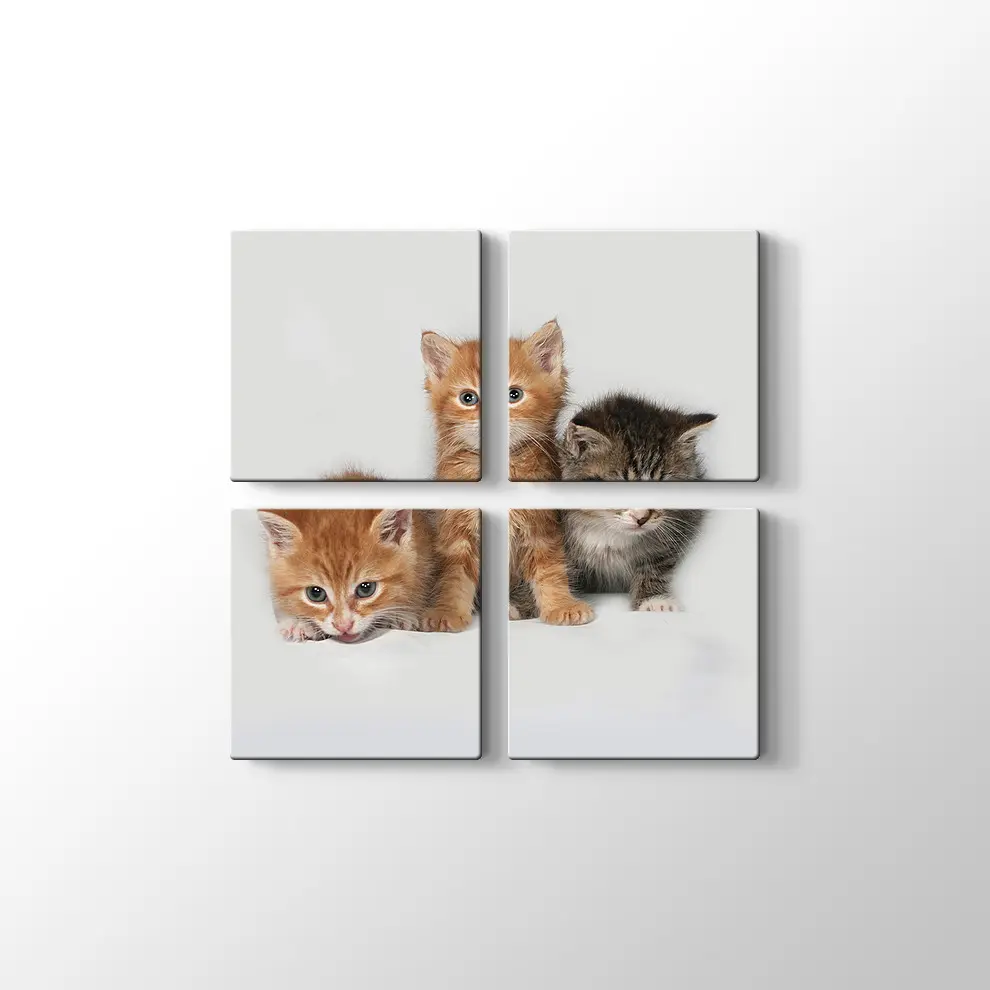 Kedi Yavruları Kanvas Tablo