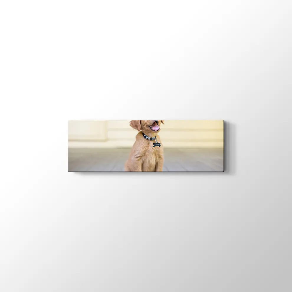 Sevimli Köpek Yavrusu Kanvas Tablo