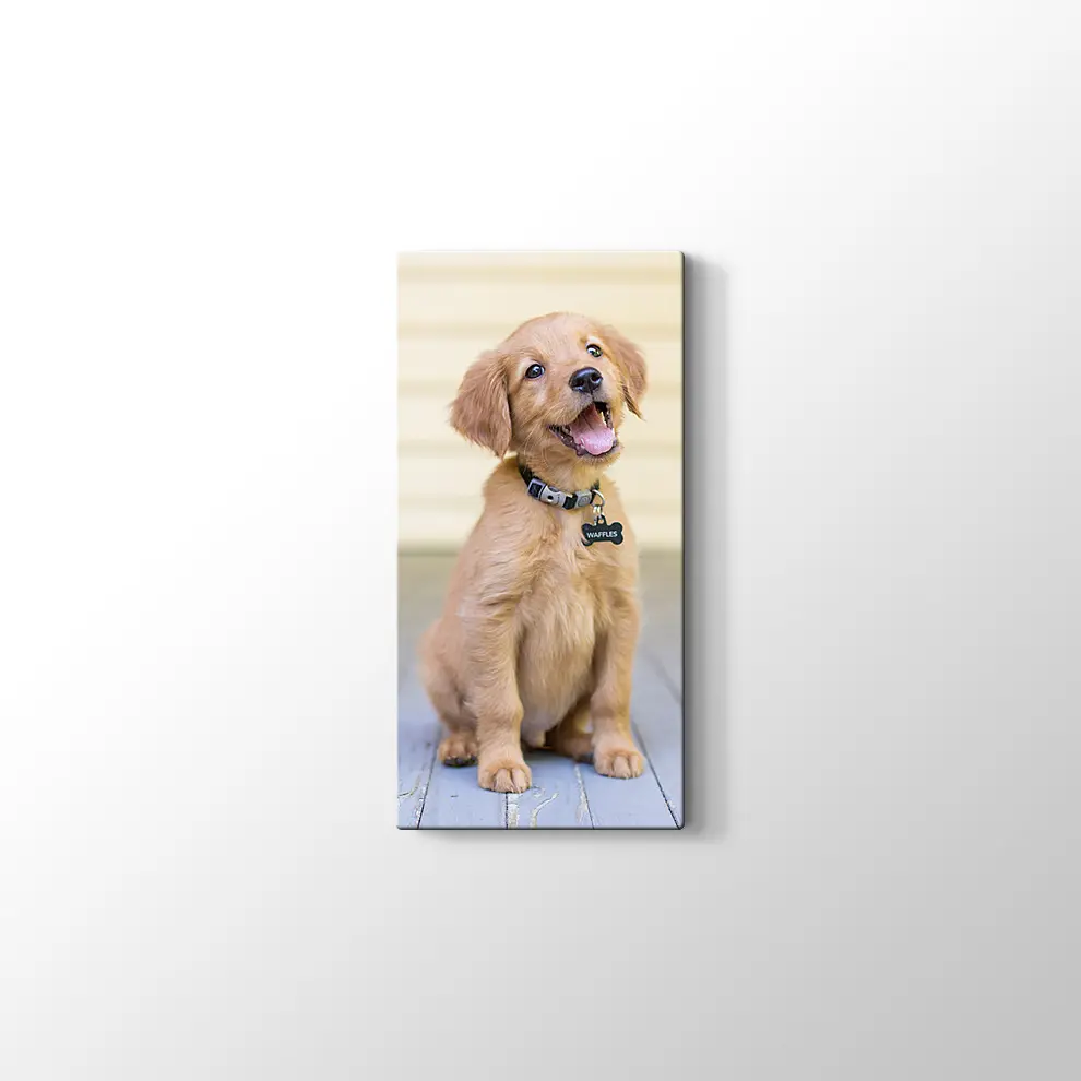 Sevimli Köpek Yavrusu Kanvas Tablo